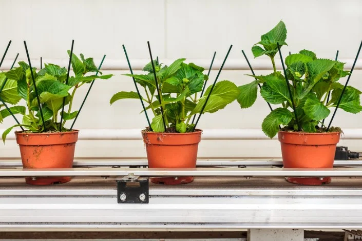 Better Conveyor System Optimization Hacks for Spring Savings