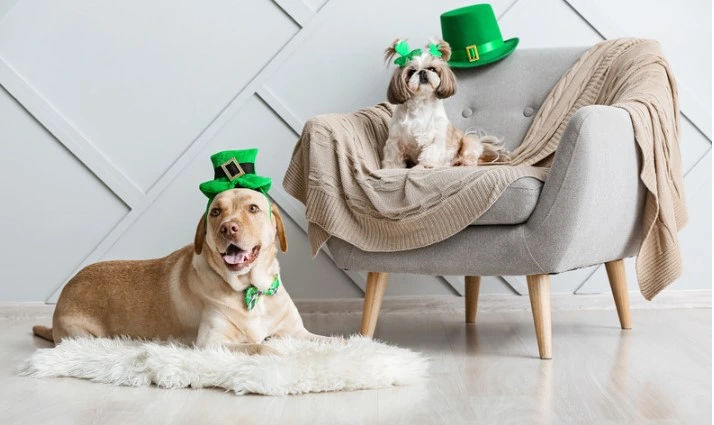 Going Green Beyond St. Patrick's Day Going Green Beyond St. Patrick's Day