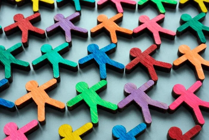 Project Management to the Rescue!