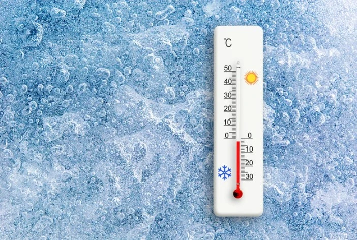 Understanding Temperature and Environmental Conditions for Your Conveyor for Cold Storage