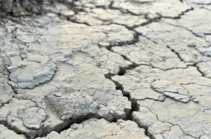 natural disaster affecting transportation and supply chain resilience
