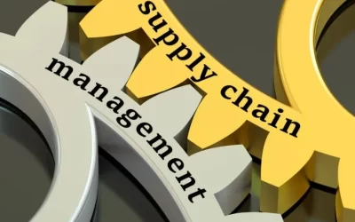 Managing the Big Summer Rush with Vibrant Supply Chain Solutions