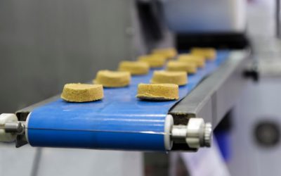 A Complete Guide to Belted vs. MDR Conveyor Systems