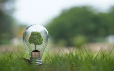 Revolutionary Green Conveyors: The Official Future of Manufacturing 