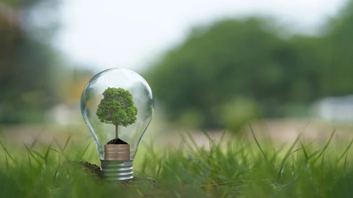 tree growing inside a lightbulb sitting on green grass to show how green conveyors are revolutionizing material handling