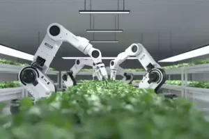 vertical farming with robotics